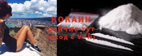 стаф Белокуриха