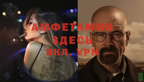 mdpv Богородск