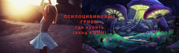 стаф Белокуриха