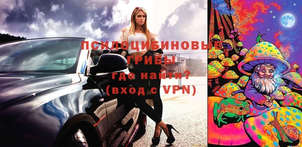 стаф Белокуриха