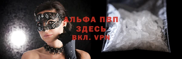 стаф Белокуриха