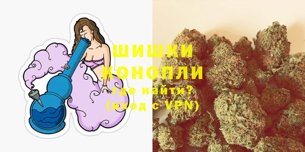 стаф Белокуриха
