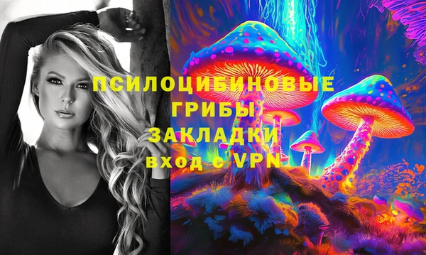 стаф Белокуриха