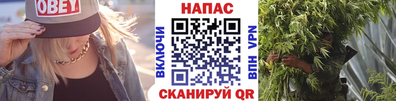 Конопля конопля  Купить где  Чкаловск 